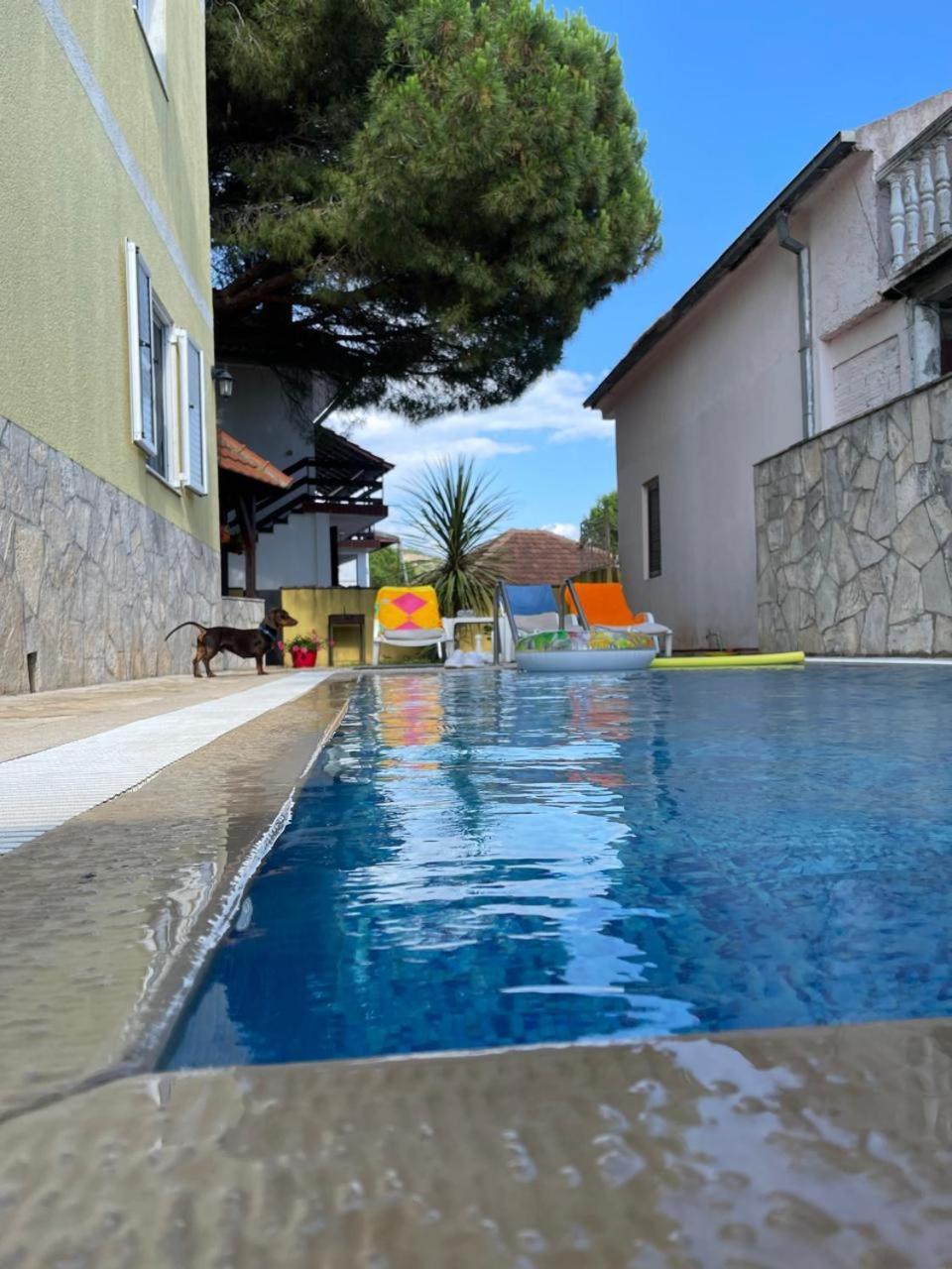 Apartments Villa-G Lustica Tivat Exterior photo